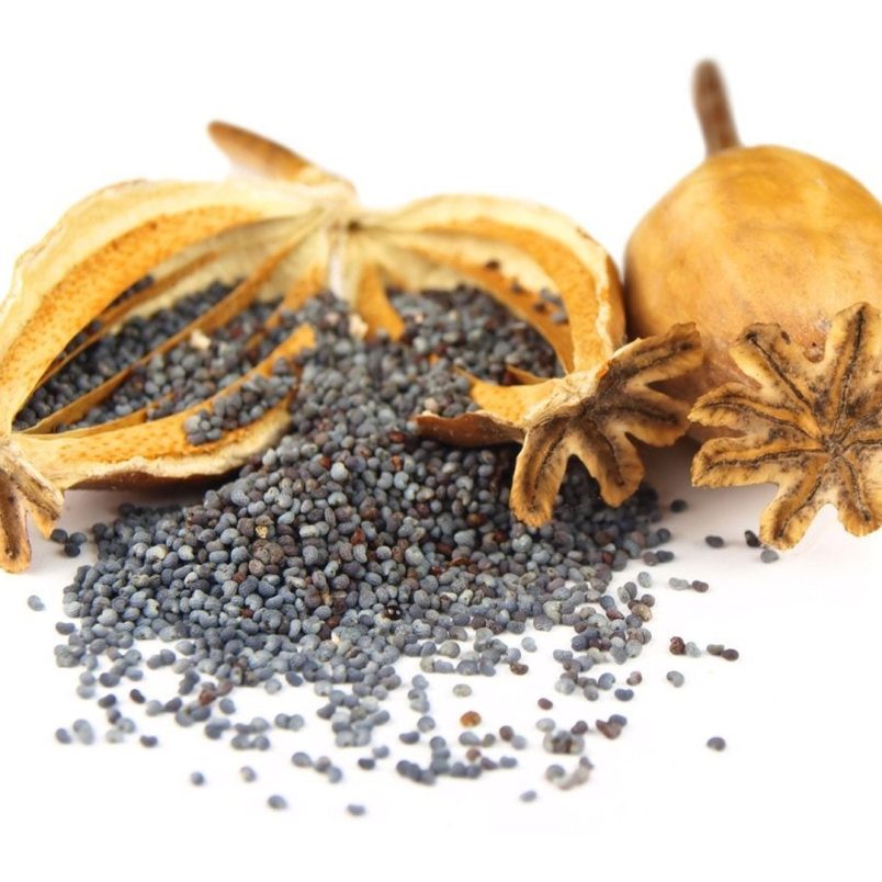 Why are poppy seeds illegal in Bangladesh despite being used as a common spice?