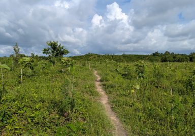 How the government reversed Cox’s Bazar land grabs