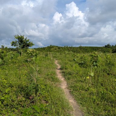 How the government reversed Cox’s Bazar land grabs
