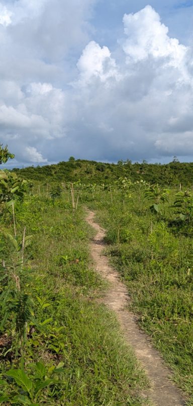 How the government reversed Cox’s Bazar land grabs