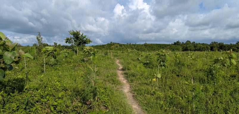 How the government reversed Cox’s Bazar land grabs