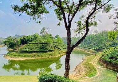 Bartal Lake: A hidden gem in Moulvibazar's tea country