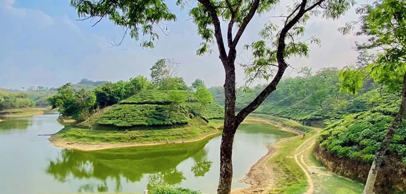 Bartal Lake: A hidden gem in Moulvibazar's tea country