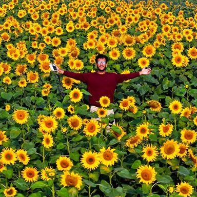 Nagriyakandi Sunflower Garden and Park, complete guide to largest sunflower garden near Dhaka