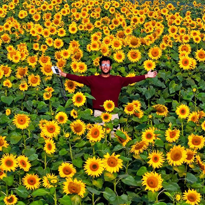 Nagriyakandi Sunflower Garden and Park, complete guide to largest sunflower garden near Dhaka