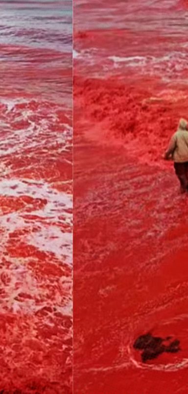 What caused the blood-red waters along Iran’s Hormuz Island?