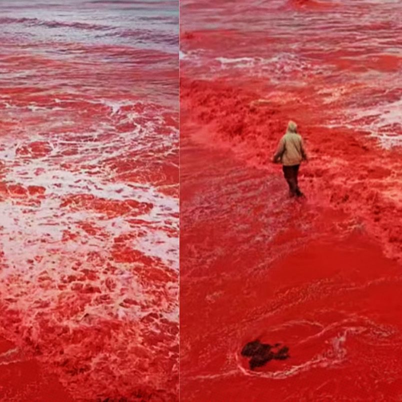 What caused the blood-red waters along Iran’s Hormuz Island?