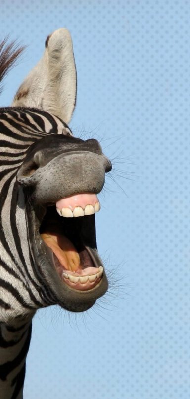 Why even fake laughing might be the best medicine