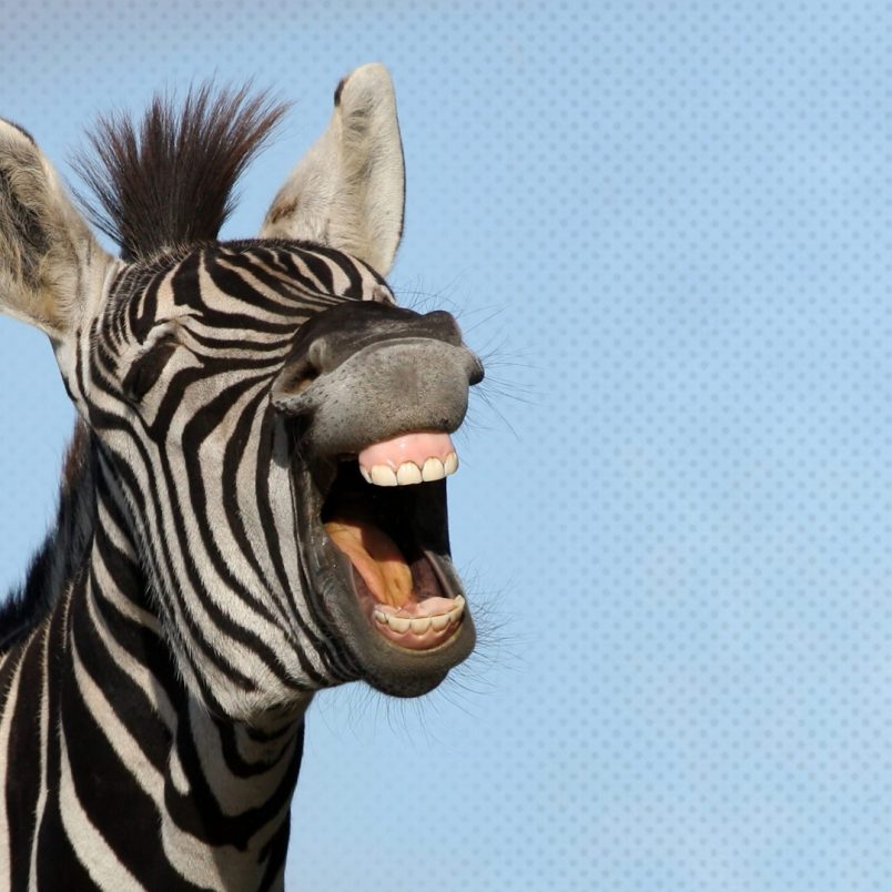 Why even fake laughing might be the best medicine