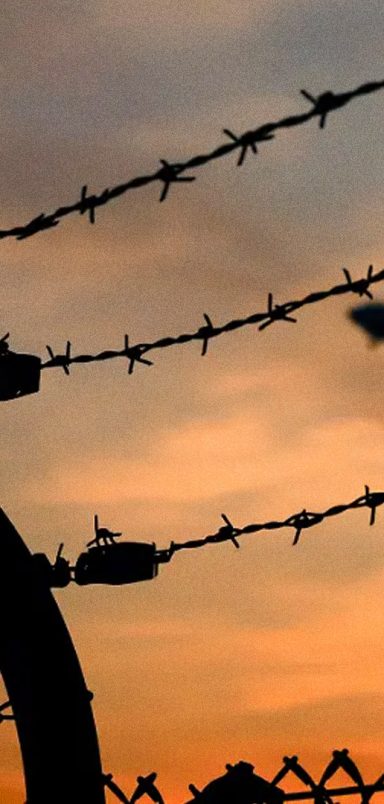 What does the term 'Remigration' really mean?