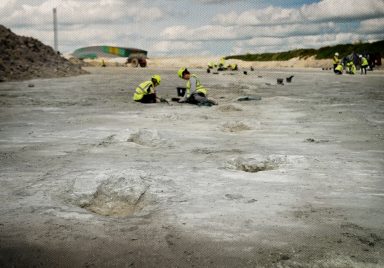 The incredible scientific discoveries that defined 2025