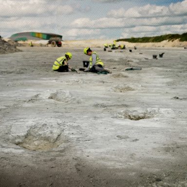 The incredible scientific discoveries that defined 2025