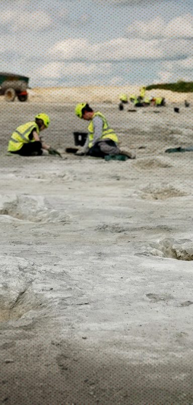 The incredible scientific discoveries that defined 2025