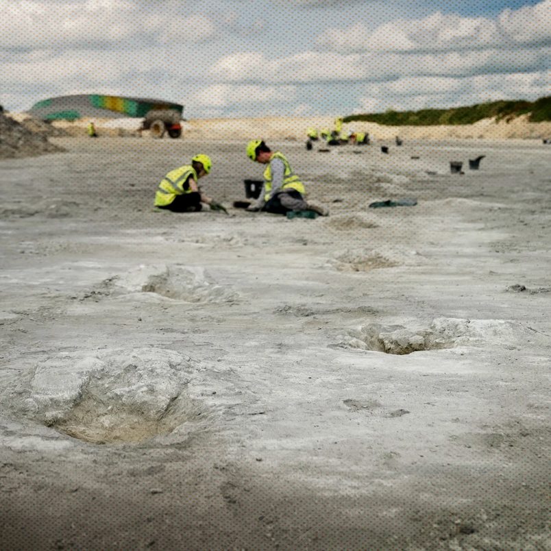 The incredible scientific discoveries that defined 2025