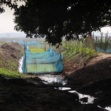 How a ‘century-old’ canal between beels stirred village conflicts