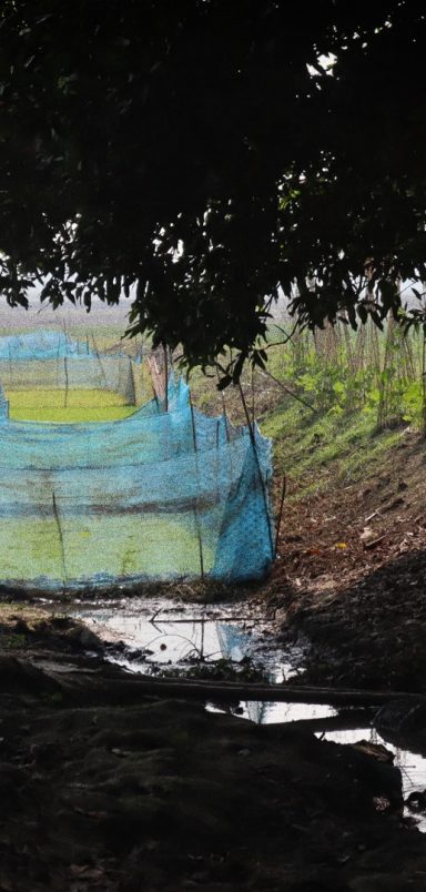 How a ‘century-old’ canal between beels stirred village conflicts