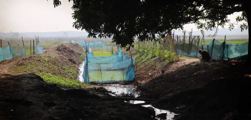 How a ‘century-old’ canal between beels stirred village conflicts