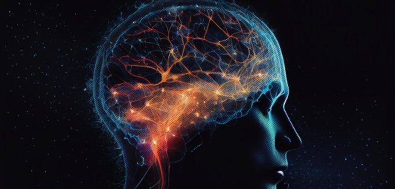 How can you improve your memory using simple steps