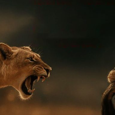 What is ‘Rage Bait,’ Oxford’s word of the year?