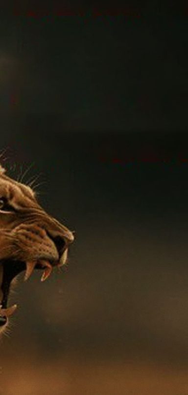 What is ‘Rage Bait,’ Oxford’s word of the year?