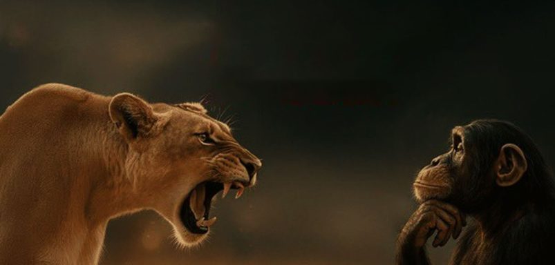 What is ‘Rage Bait,’ Oxford’s word of the year?