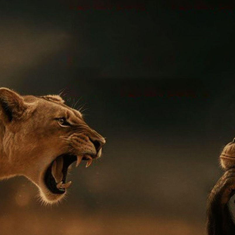 What is ‘Rage Bait,’ Oxford’s word of the year?