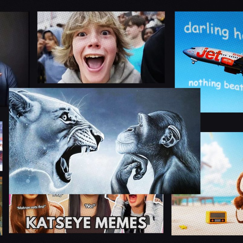 2025, the chronically online year built brick by brick