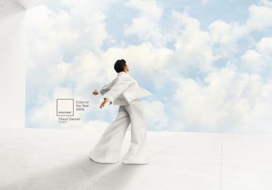 Why has Pantone's 2026 colour of the year sparked controversy?