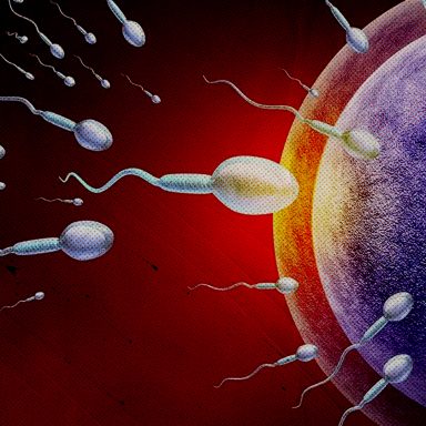 How did a single sperm donor end up fathering nearly 200 children at high cancer risk?