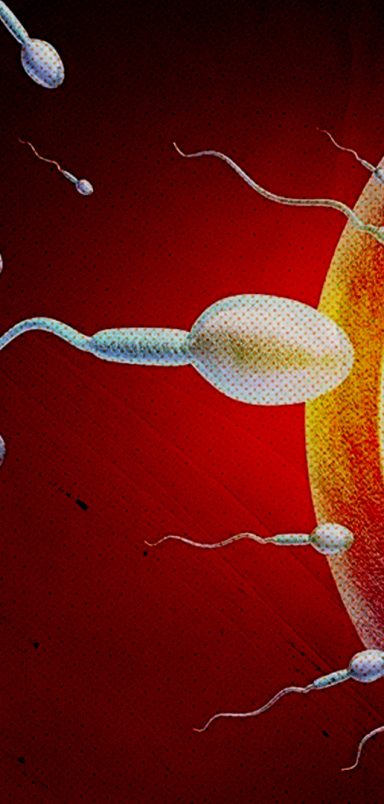 How did a single sperm donor end up fathering nearly 200 children at high cancer risk?