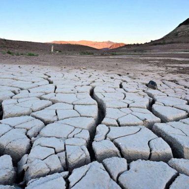 What happens when most of a country's lakes disappear?