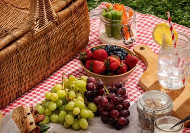 5 must-have items to elevate your winter picnic experience