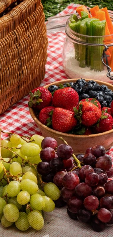 5 must-have items to elevate your winter picnic experience