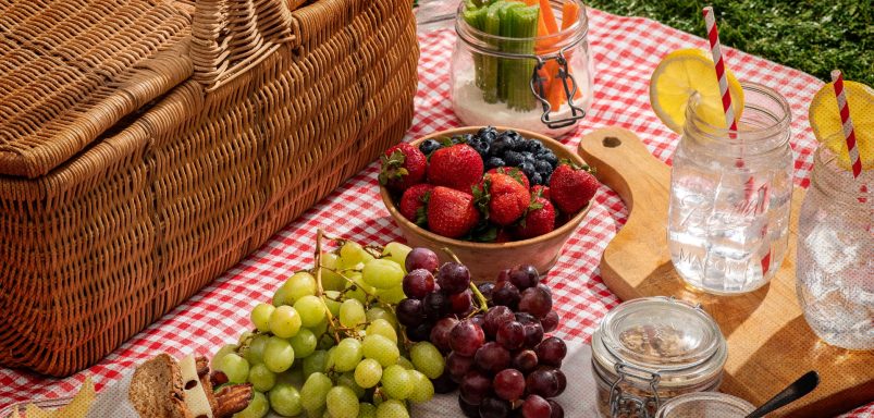 5 must-have items to elevate your winter picnic experience