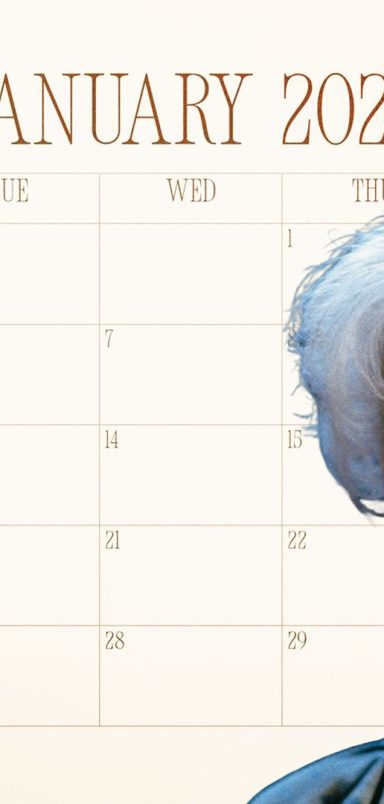 Why does January feel so endless?