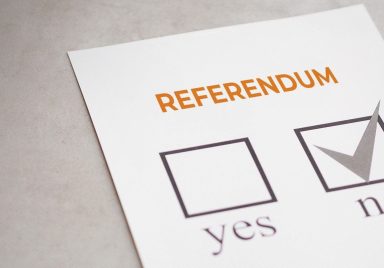 What are the 4 issues to be voted on in the referendum on election day?