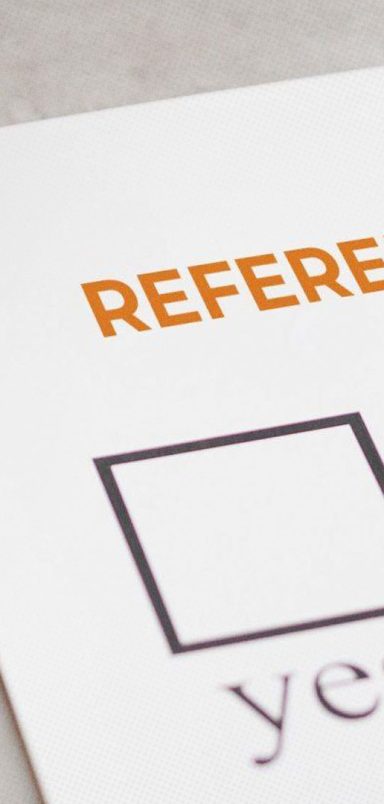 What are the 4 issues to be voted on in the referendum on election day?