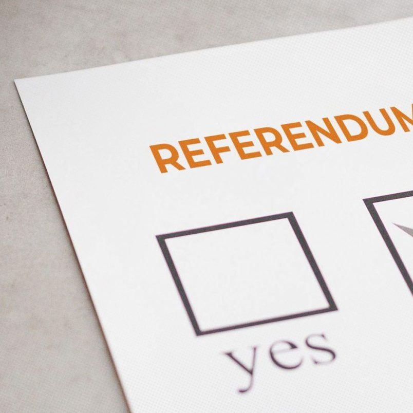 What are the 4 issues to be voted on in the referendum on election day?