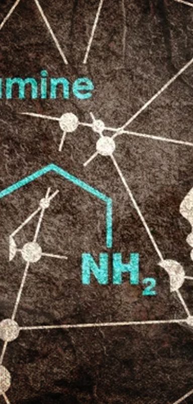 Why dopamine isn't really a 'pleasure chemical'