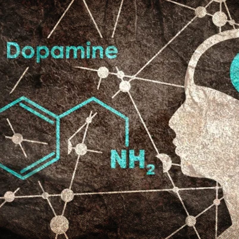 Why dopamine isn't really a 'pleasure chemical'