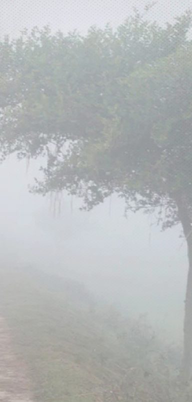 What is fog and does it make winter colder?