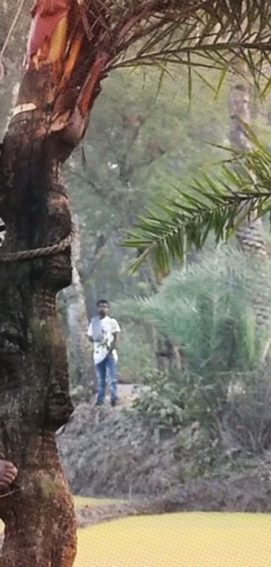 Nipah virus: What you need to know and how to say safe