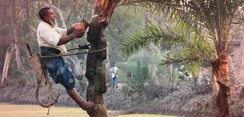 Nipah virus: What you need to know and how to say safe