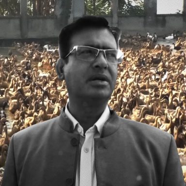How Monajat Ali built an 18,000-duck empire by watching YouTube videos