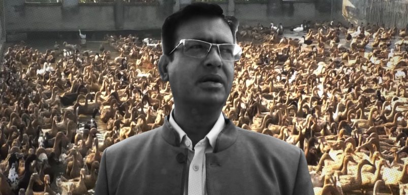 How Monajat Ali built an 18,000-duck empire by watching YouTube videos