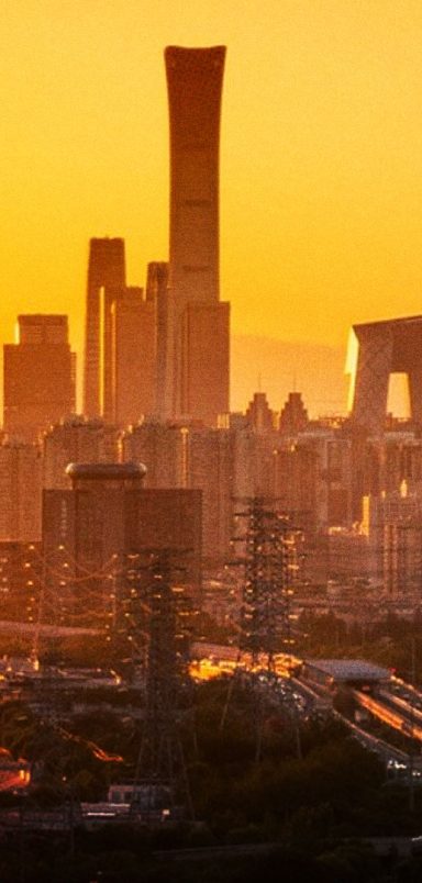 Which Asian countries believe language defines true nationality the most?