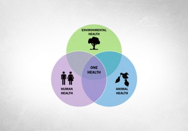 What 'One Health' means for Bangladesh's health safety