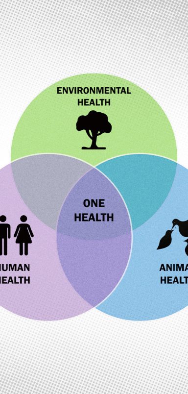 What 'One Health' means for Bangladesh's health safety