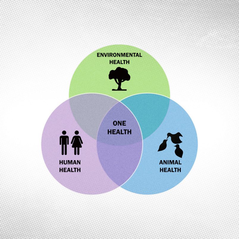What 'One Health' means for Bangladesh's health safety