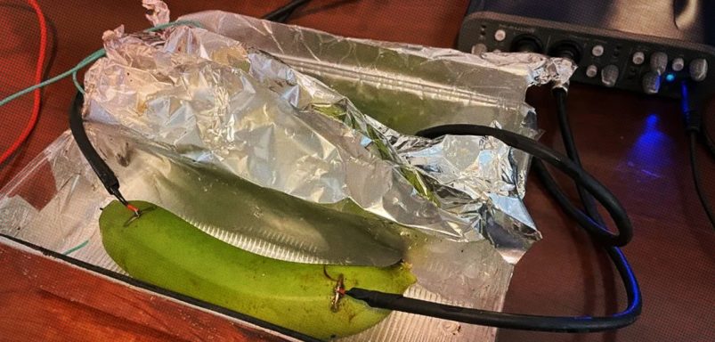 Banana vs copper. A test that challenges high-end audio cable claims